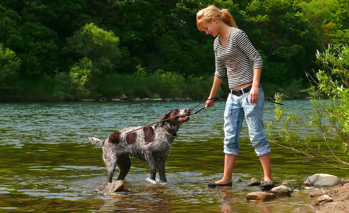 Wandern mit dem Hund - Wanderurlaub in Hotels und Chalets für Vierbeiner