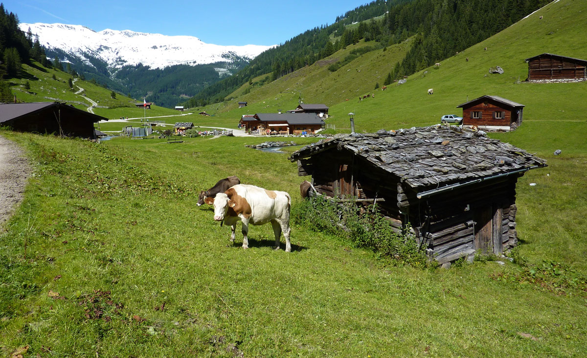 Wanderurlaub im Almhotel und Almhütten